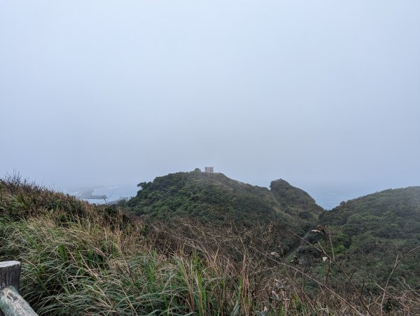 2023-02-11 忘憂谷步道2792593