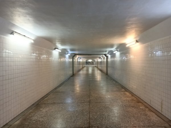 基隆市三角洲嶺北峰+獅球嶺+獅球嶺北峰+西砲台山+紅龍山+蚵殼港山+碉堡峰3018826