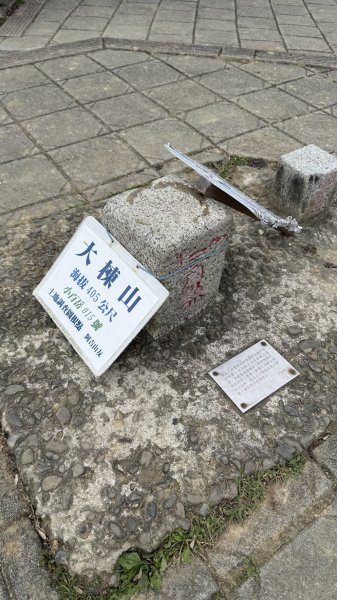 20260111微笑山線：【大棟山系】405高地段+百年大榕樹段2982894