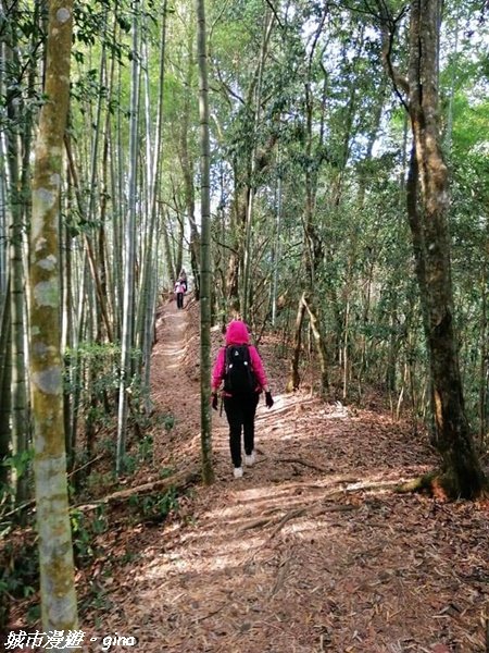 【雲林。古坑】絕美孟宗竹林有如置身武俠電影場景。嘉南雲峰x石壁山登山步道(小百岳)1328780