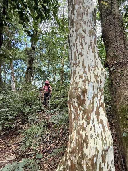 熊空瀑布+熊空山未竟+竹坑山O繞202508162863682