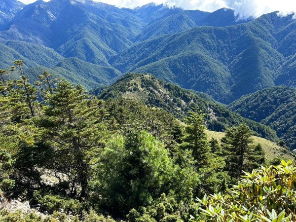 2024/09/27-0930帶2位神隊友76歲老爸、老朋友呂哥，玉山後四峰一遊但未竟。。。被山陀兒2607166