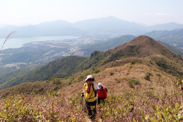 HK - 觀音脊、八仙嶺1465873