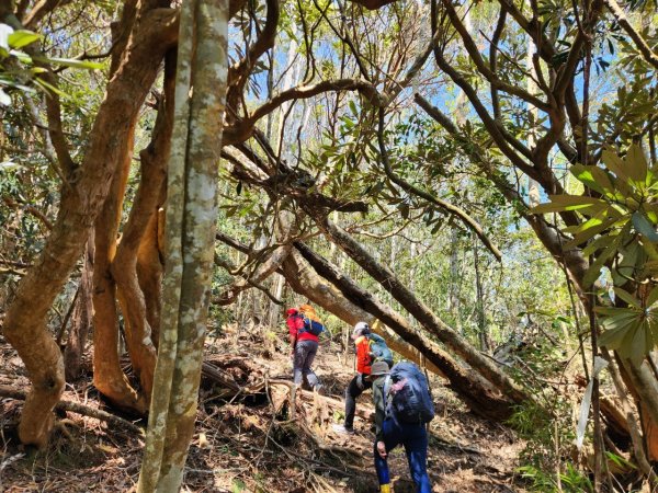 【中級山】邑治第一山，守城大山，連走守關山，守關山南峰2740910
