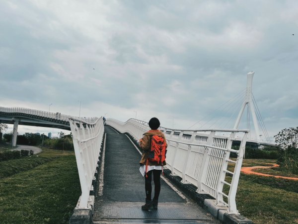 2023 臺北大縱走 8：捷運關渡站至華江雁鴨自然公園(上)2079488