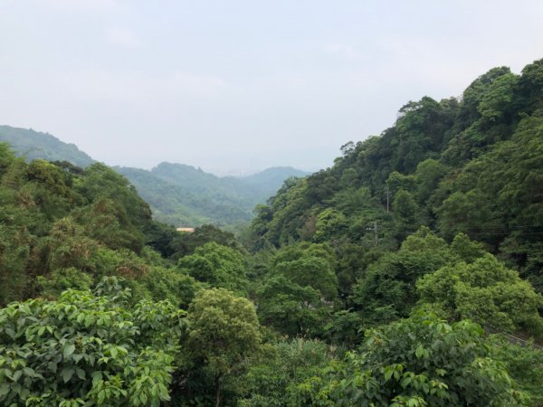 大同山-青龍嶺-大棟山-山佳車站930003