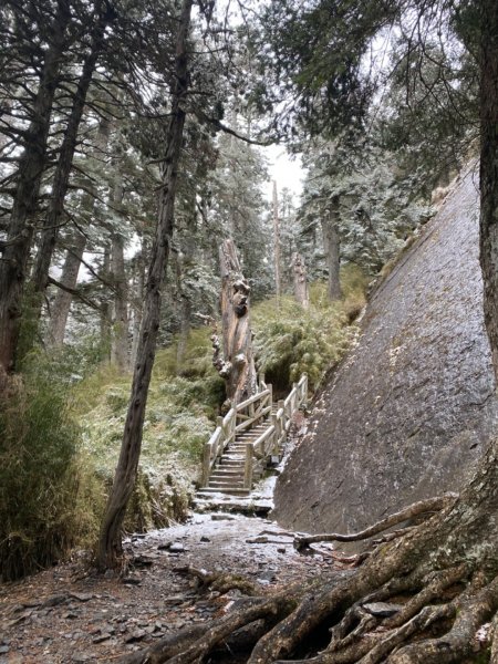 塔塔加-排雲山莊。驚喜滿分的糖霜雪景1565850