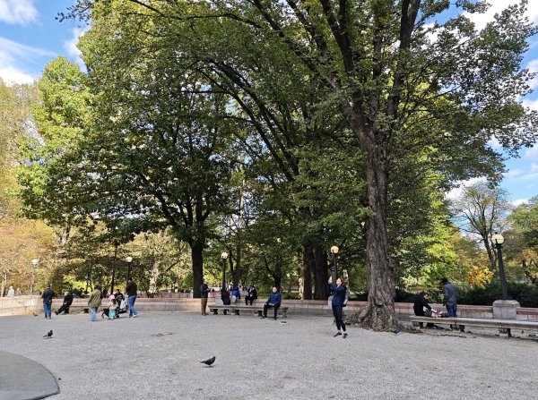 [紐約馬之行-10] 2025_1101 紐約中央公園2944990