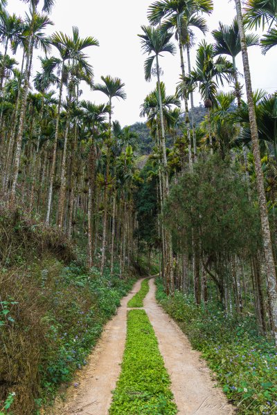 [南投]後尖山3015577