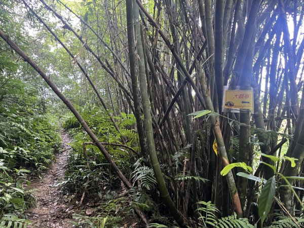 [皮皮獅Hike客任務-01/10] 2024_0720 打牛崎古道2557010