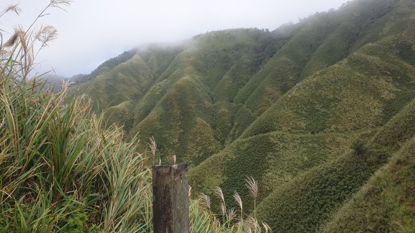 聖母登山步道（抹茶山）2005779