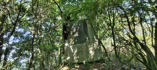 2025/06/15_盡尾山步道2812735