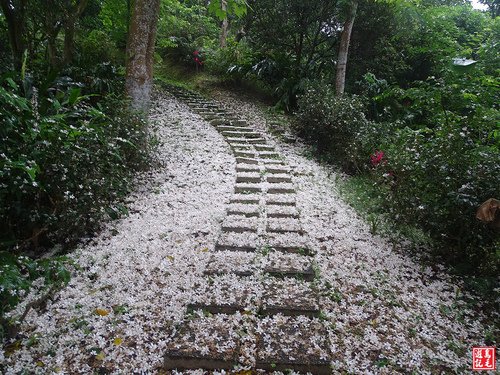 【台北市】小南港山步道