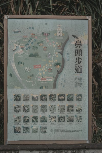 絕美的海岸地質教室｜鼻頭角步道3020687