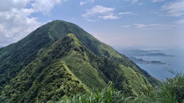 黃金一稜封面