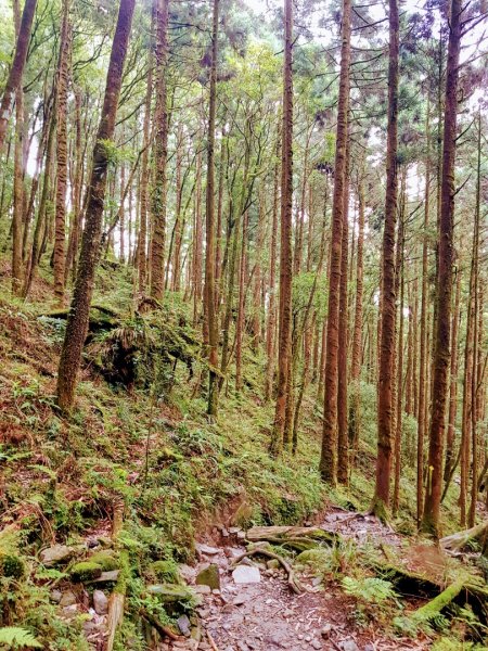 松蘿湖半日遊1015258