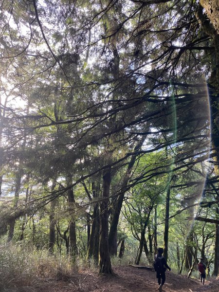 單攻屏風山111.2K最新登山口1411395