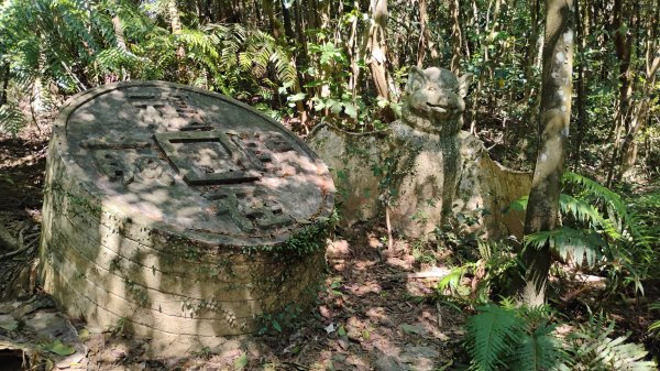 年前練練腳台北西湖近郊13連峰O型2999238