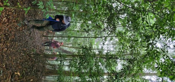 橫沙迪O型縱走_大雪山社區登山口2826544
