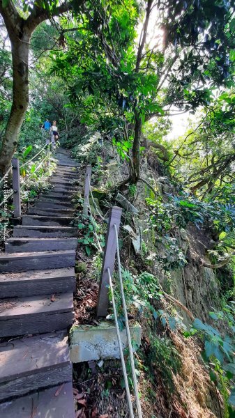 《台中》秋虎飆汗｜潭子新田登山步道上聚興山O繞202409152594082