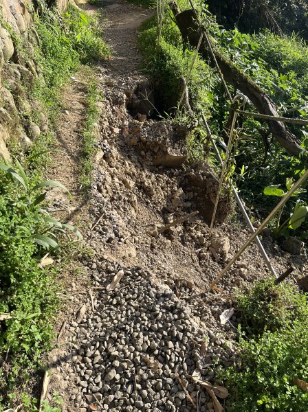 [山頂鳥40周年會員大縱走-08/15] 2024_0715 銀河洞越嶺登山步道2556749