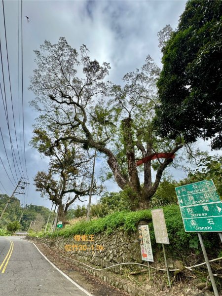 太元宮-關西玉山前-玉山/南柯山-東獅頭山/赤柯山南峰-赤柯山-太元宮 O繞2958034