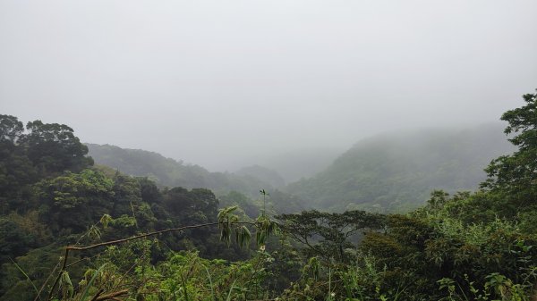 台北大縱走第一段2503726