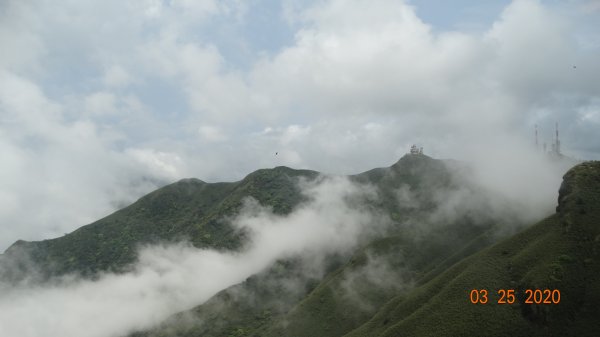 蒼天不負苦心人，再度陽明山雲海891395