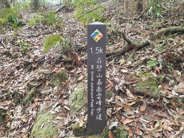 嘉南雲峰、石壁山登山步道（小百岳）1351706