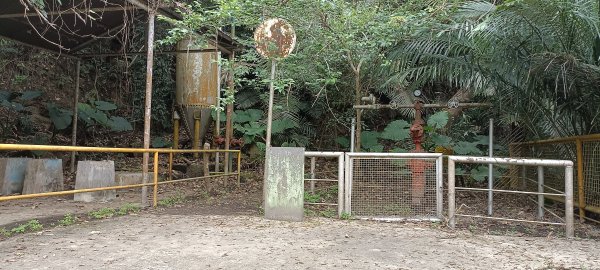 20230404_出磺坑山+古油井步道O型2094224