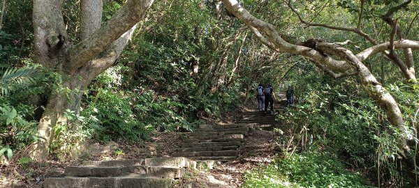 20240113_硬漢嶺步道(觀音山)2401536