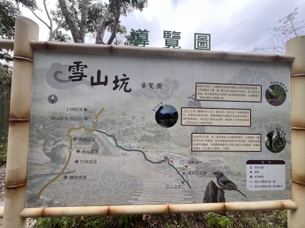 雪山坑環線步道3023306