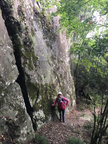 騰龍山&橫龍山古道1140358