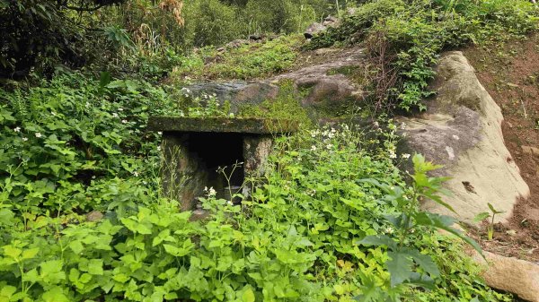 20250421聖人崙-百年古圳-大平尾山-平溪步道2783622