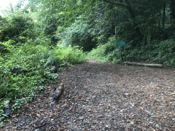 宜蘭 四季 加羅湖633826