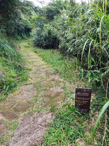 環七星山人車分道步道-百拉卡公路入口至冷水坑段 - 走遍陽明山尋寶任務2255053