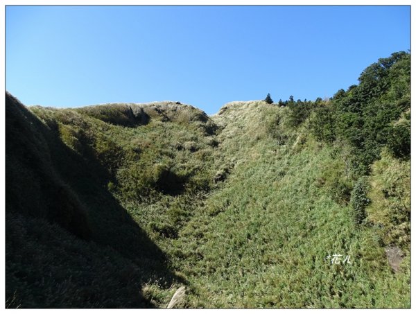 七星山連峰/芒花738696