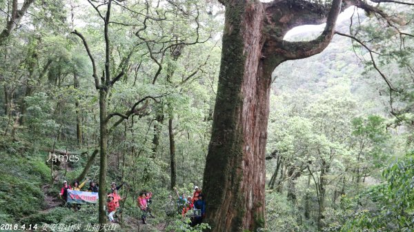 20180414安安登山隊_北插天山419302