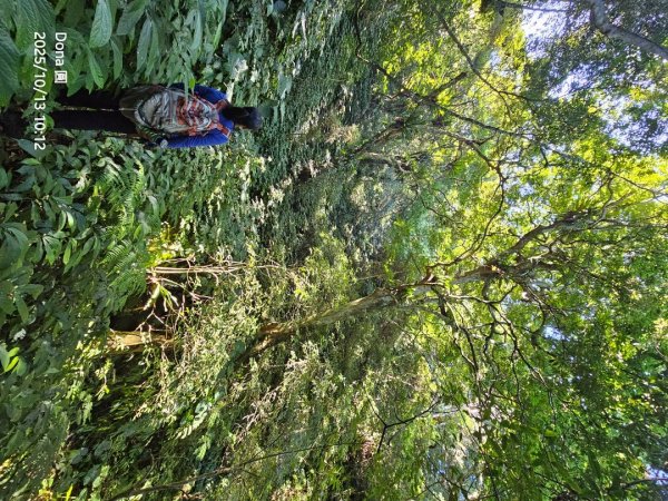 復興三尖老么之那結山1520m(嘎色鬧上)全紀錄2915483