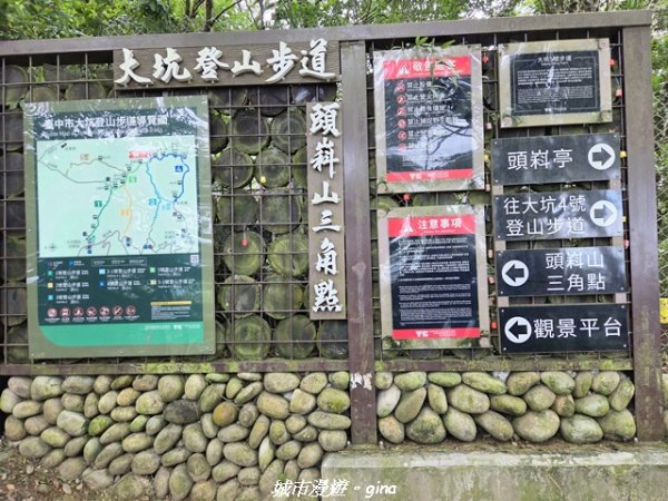 【台中北屯】大坑四號步道x頭嵙山3090948