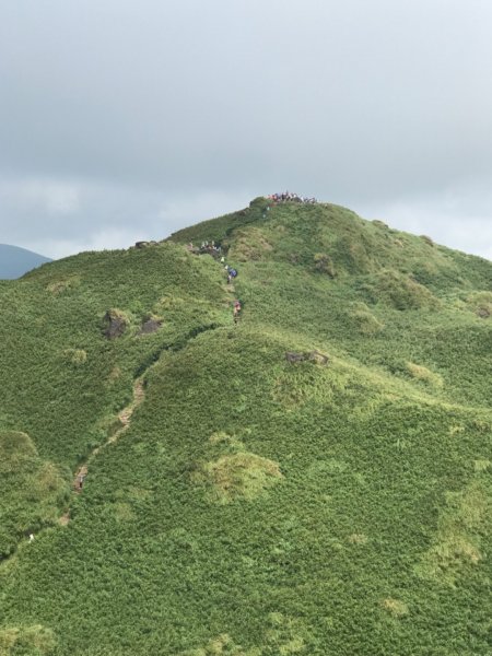 七星山東峰、主峰924434