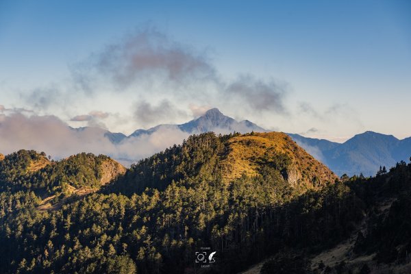 心映雪翠｜Mt.Xue｜Taiwan 785831