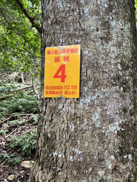 東河線上鵝公髻山，至鳥嘴山後下大窩山部落 2024.8.182577493