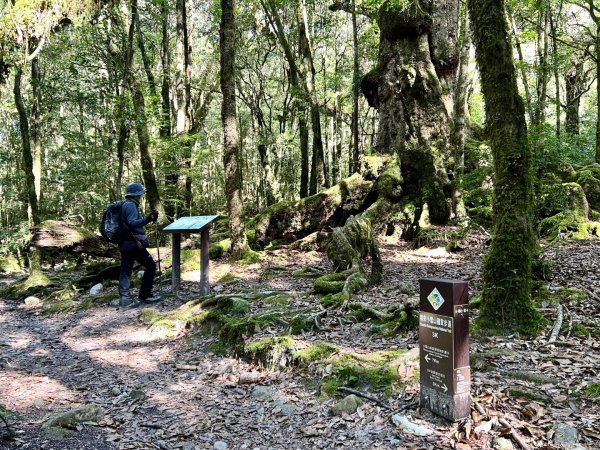 船型山環走大雪山210林道2978040