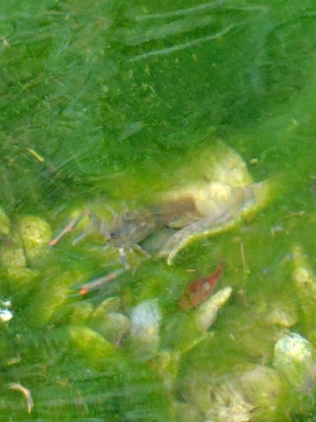 守關山南峰 守關山 守城大山2919133