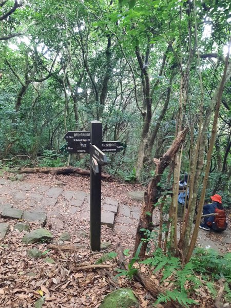 20230709 中正山縱走面天向天山，冰泰酥朵頤2211931