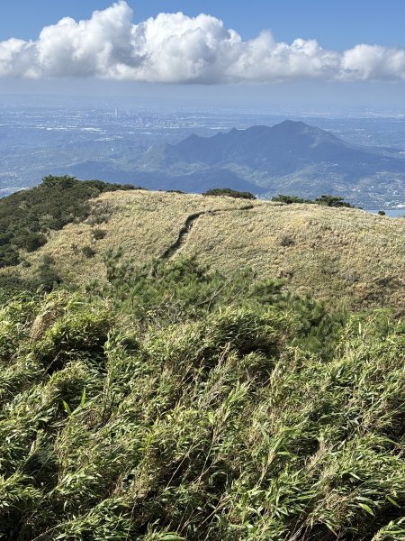 面天山、向天山、向天池2921064