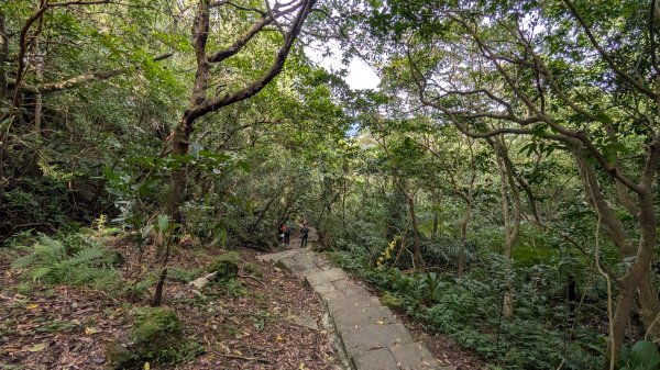 114.11.15平溪小黃山段-望古瀑布段之旅2937794