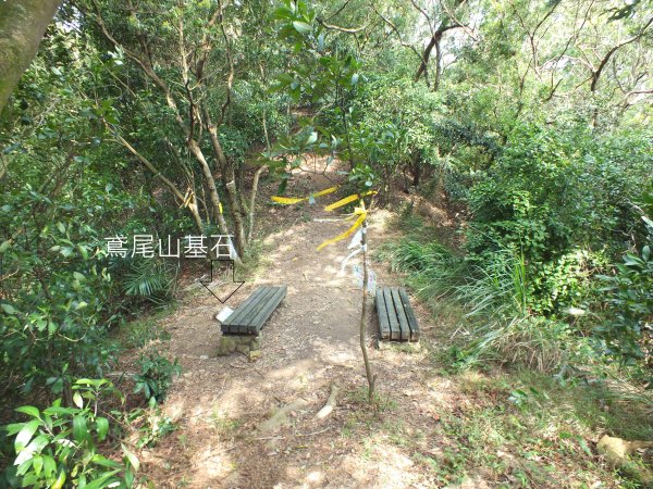 三峽區鳶尾山+福德坑東峰+福德坑山+鳶山彩壁+五十分山+壽山+龍山寺2775755