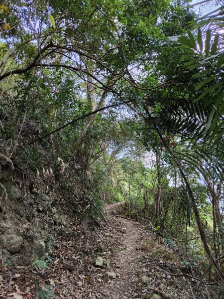 2023.11.30 九份二山2677674